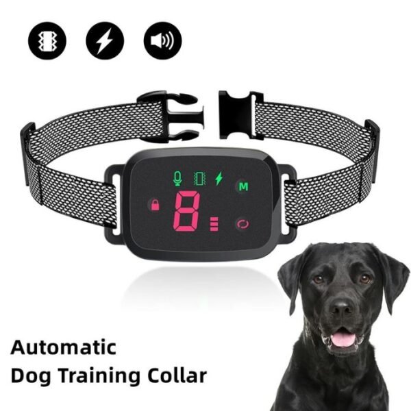 Collier intelligent et automatique Anti-aboiement pour chien