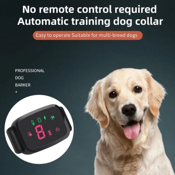 Collier intelligent et automatique Anti-aboiement pour chien