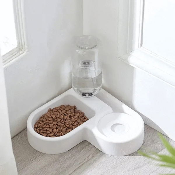 Bol à boire automatique pour animaux de compagnie